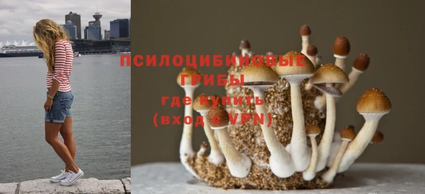 твердый Аркадак