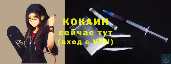 твердый Аркадак