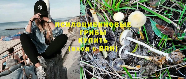 прущая мука Армянск