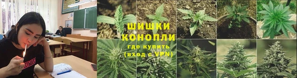 гидропоника Арсеньев