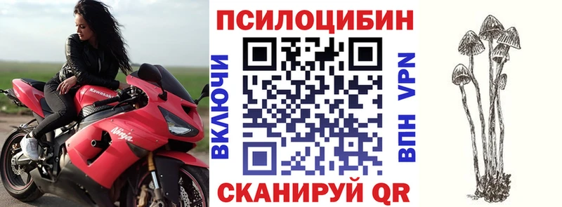 OMG ССЫЛКА  где купить   Обоянь  Псилоцибиновые грибы MAGIC MUSHROOMS 