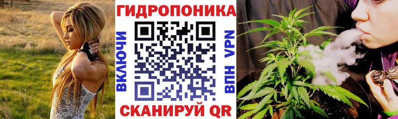 Канабис THC 21%  дарнет шоп  Обоянь 